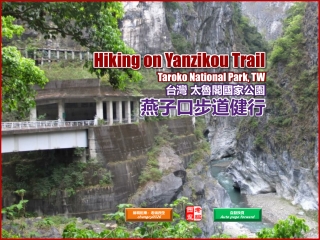 Hiking on Yanzikou Trail, Taroko National Park, TW (台灣太魯閣國家公園 燕子口步道健行)