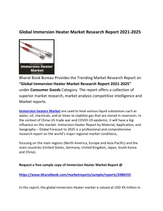 Global Immersion Heater Market Research Report 2021-2025