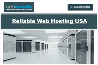 Reliable Web Hosting USA