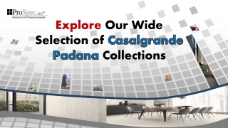 Explore Our Wide Selection of Casalgrande Padana Collections