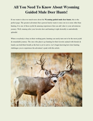 Wyoming Guided Mule Deer Hunt | hunt nation