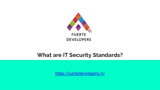 What are IT Security Standards?