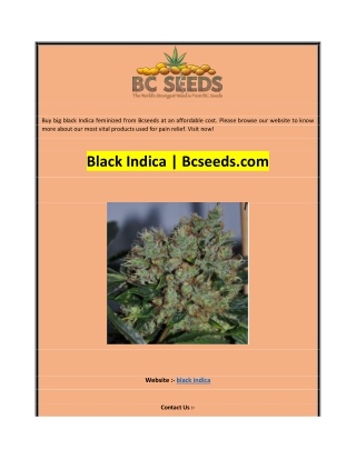 Black Indica  Bcseeds