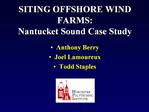 SITING OFFSHORE WIND FARMS: Nantucket Sound Case Study