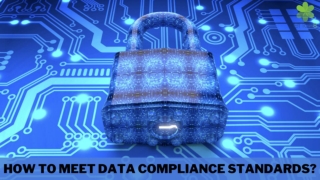 How To Meet Data Compliance Standards?