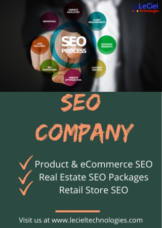Top Ranking SEO Company Jodhpur