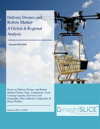 Delivery Drones and Robots Market Size, Share, Sales, Analysis, Forecast By 2030