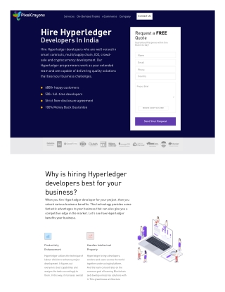 Hire Hyperledger Developers in India | Hire Hyperledger Programmers