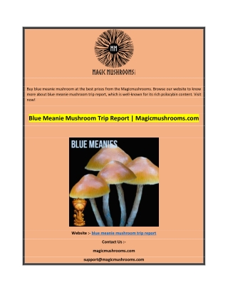 Blue Meanie Mushroom Trip Report  Magicmushrooms