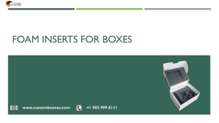 Custom box with foam insert High Resolution Stock Photography in USA