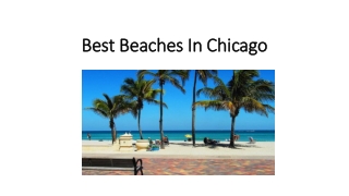 Best Beaches In Chicago