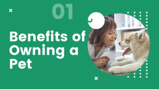 Benefits Of Owning A Pet