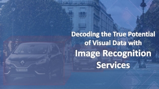 Decoding the True Potential of Visual Data with Image Recognition Services