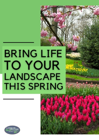 How to bring life to your landscape this spring