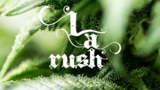 Weed Delivery Calabasas - LA Rush