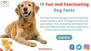 18 Fun and Fascinating Dog Facts