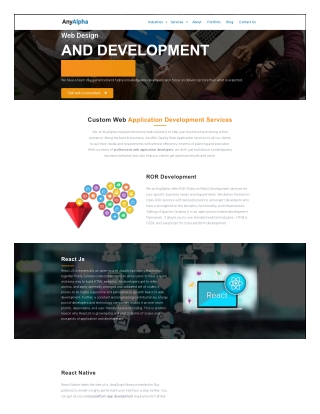 Web Development Services - Anyalpha