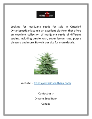 Marijuana Seeds Ontario  Ontarioseedbank.com