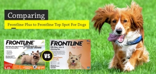 Frontline Plus vs Frontline Top Spot for Dogs