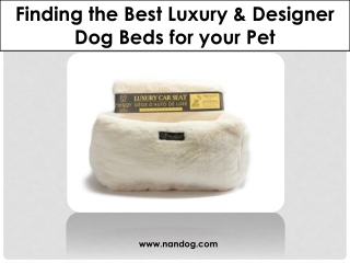 Finding the Best Luxury & Designer Dog Beds for your Pet