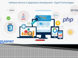 software Development Services Company