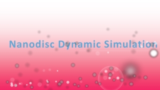 Nanodisc Dynamic Simulation