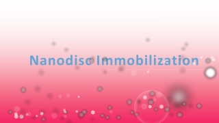 Nanodisc Immobilization