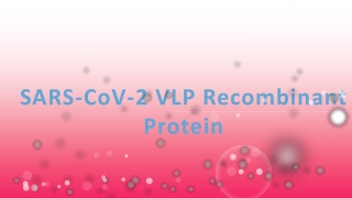 SARS-CoV-2 VLP Recombinant Protein