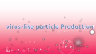 virus-like particle Production