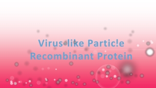 Virus-like Particle Recombinant Protein