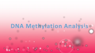 DNA Methylation Analysis