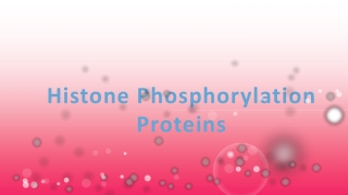 Histone Phosphorylation Proteins