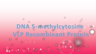 DNA 5-methylcytosine