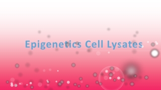 Epigenetics Cell Lysates