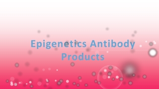 Epigenetics Antibody Products