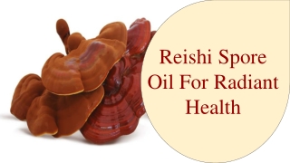 Reishi Spore Oil For Radiant Health