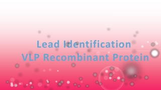 Lead Identification