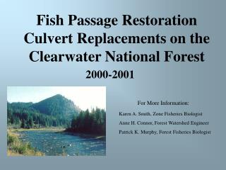 Fish Passage Restoration Culvert Replacements on the Clearwater National Forest