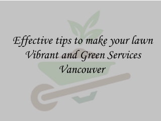 Effective tips to make your lawn Vibrant and Green Services Vancouver 