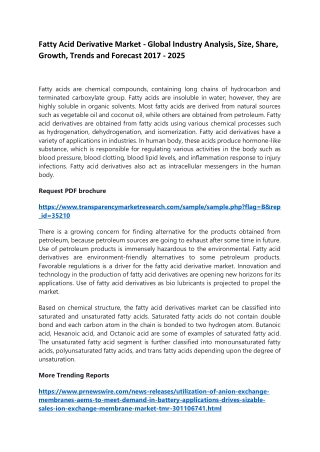 Fatty Acid Derivative Market - Global Industry Analysis, Size, Share, Growth