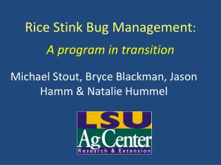 Rice Stink Bug Management :