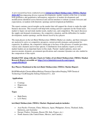 Global tert-Butyl Methacrylate (TBMA)