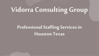 Professional Staffing Services in Houston Texas
