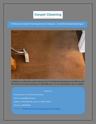 Professional Carpet Cleaning Service Company | Sandyfordcarpetcleaning.ie