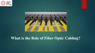 What is the Role of Fiber Optic Cabling?