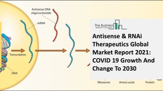 Antisense & RNAi Therapeutics Market Analysis and Forecast Report 2030