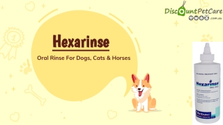 Buy Hexarinse Oral Rinse For Dogs, Cats & Horses Online - DiscountPetCare