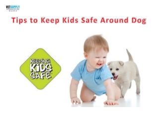 Tips to Keep Kids Safe Around Dog | VetSupply | Australia Best online Pet store