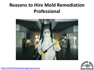 Reasons to Hire Mold Remediation Professional