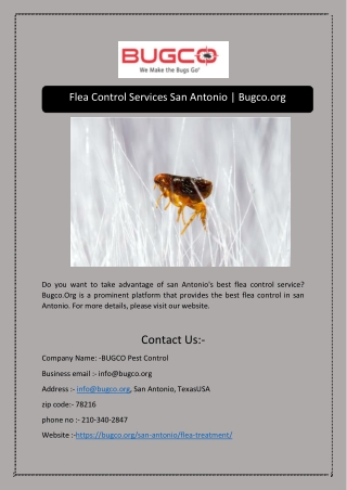 Flea Control Services San Antonio | Bugco.org